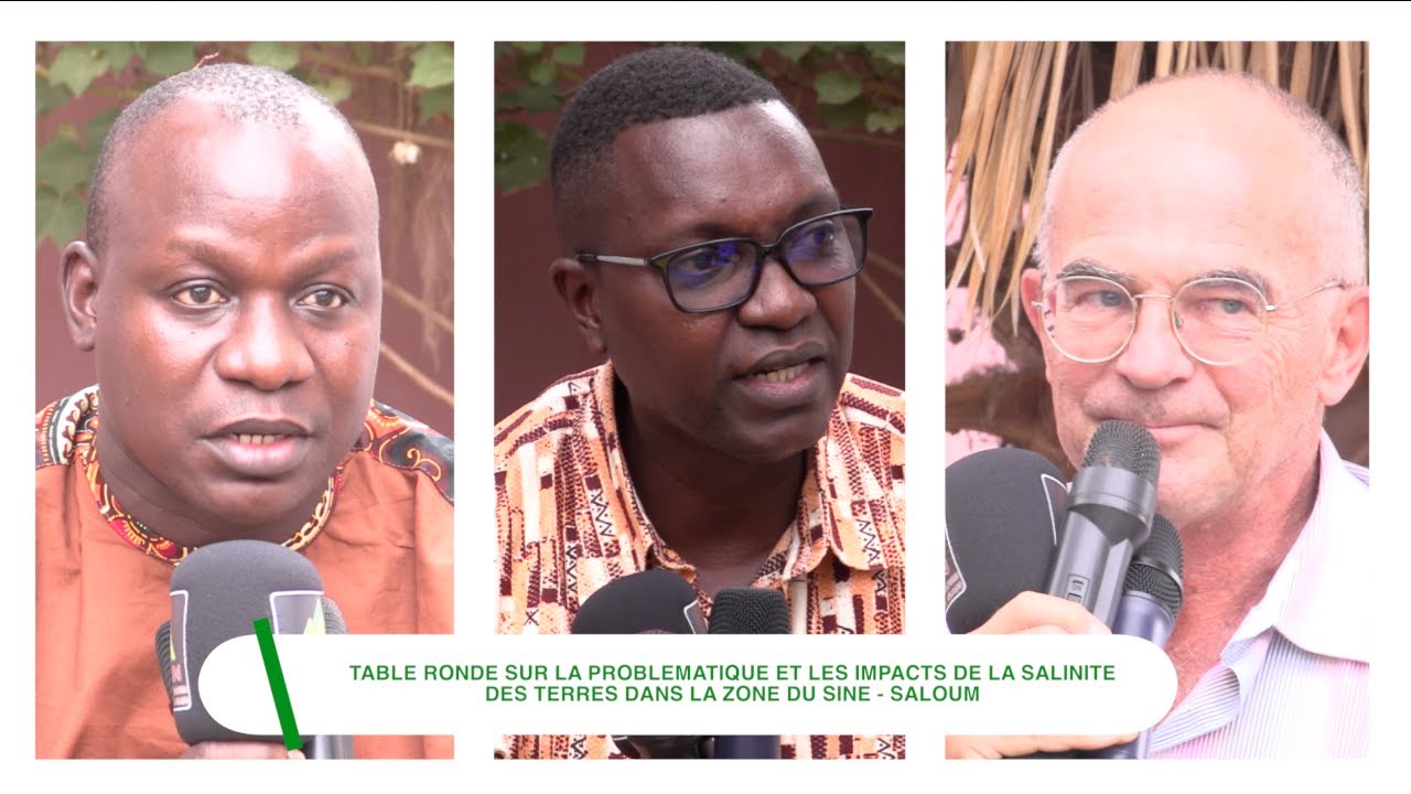 Débats d'idées sur la problématique et les impacts de la salinité des terres dans le Sine-Saloum