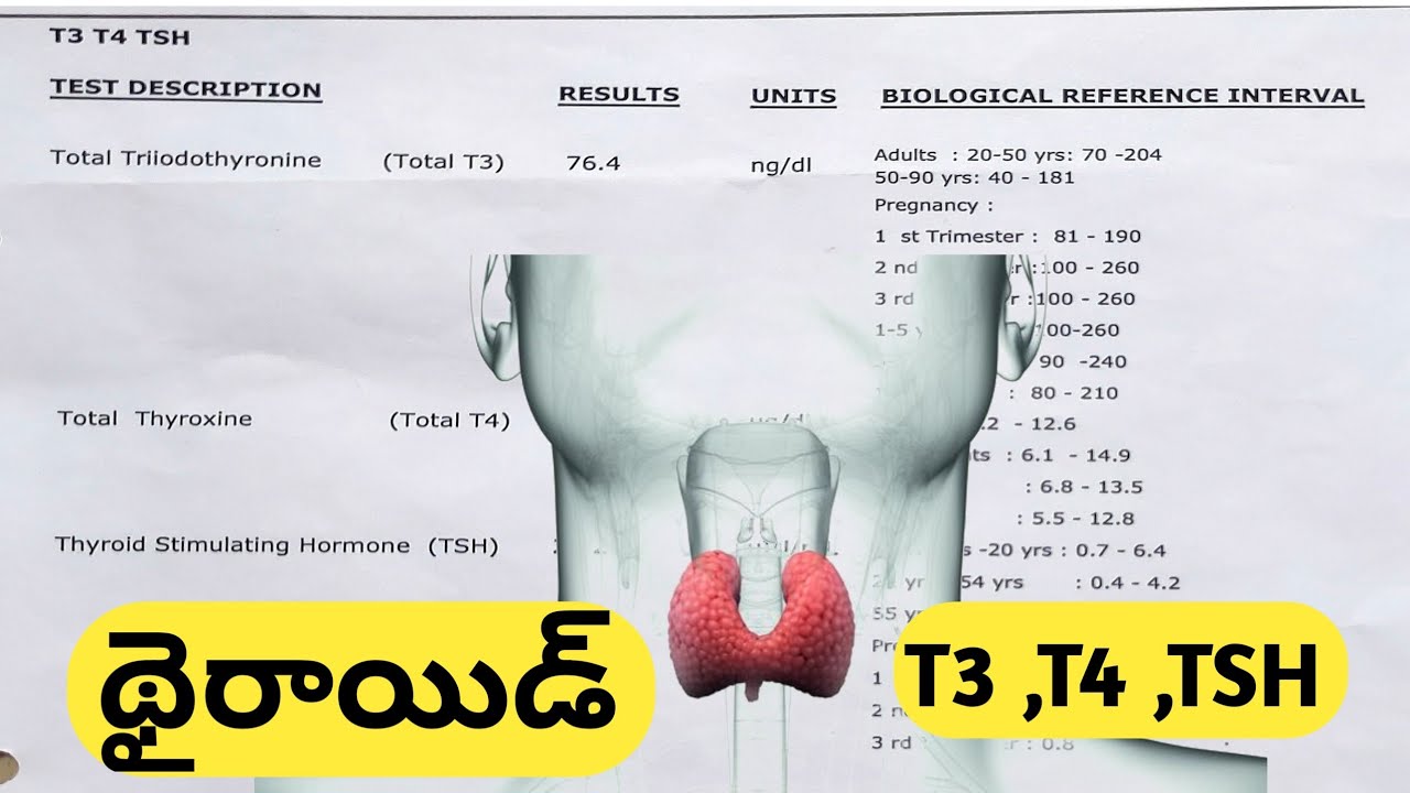 How to Read Thyroid Test Report in Telugu ( థైరాయిడ్ గ్రంథి పరీక్ష )