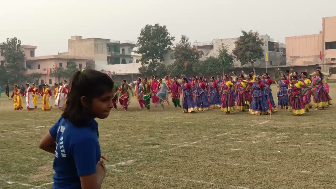 Cultural Dance Performance Unity in Diversity Hindu Vidyapeeth School #sonepat #dance #events