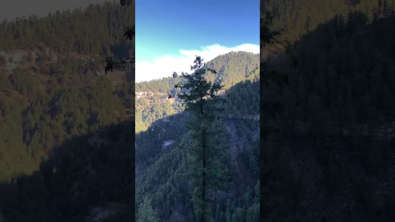 #nowdays #galyat #love #топ #nature #kpkbeauty #pakistantourism