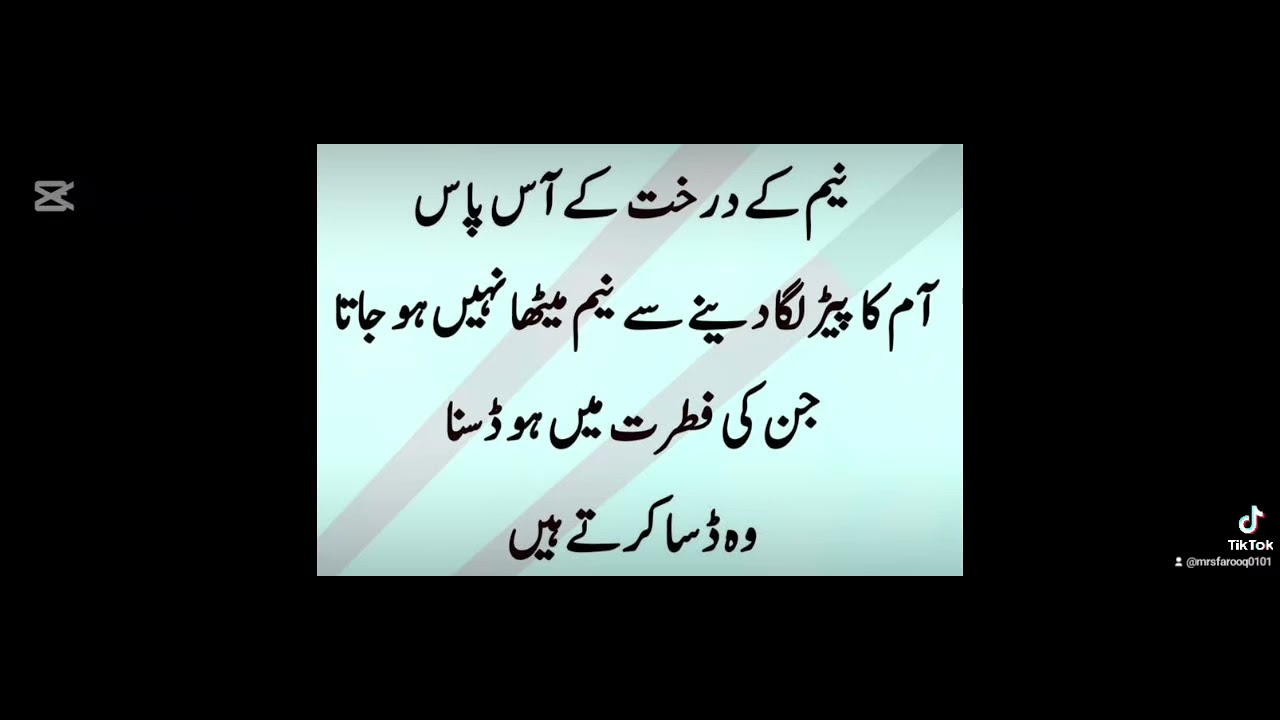 Golden word❤️❤️🌟Mumtaz Farooq