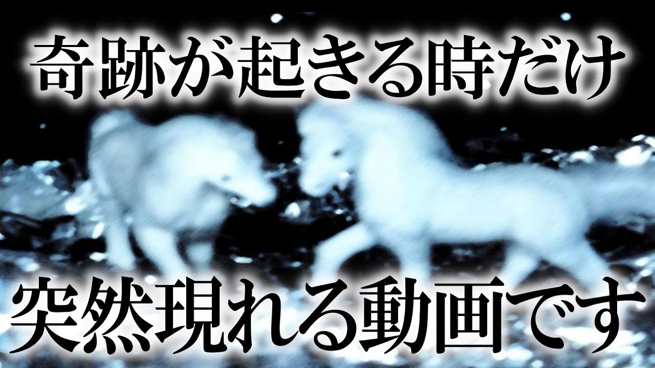 恐ろしいほど願いが叶ったと噂の動画。１分で開運します。本当に叶うので危険な願い事はしないでください！神様に選ばれた人にしか見れませんこの映像が確認出来たら奇跡が起こります。６秒以内に必ず見てください。