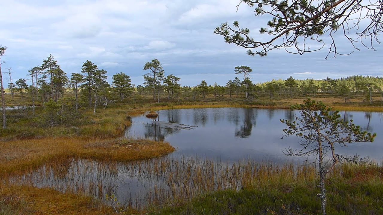 Kauhanevan-Pohjankankaan kansallispuisto - Retkipaikka