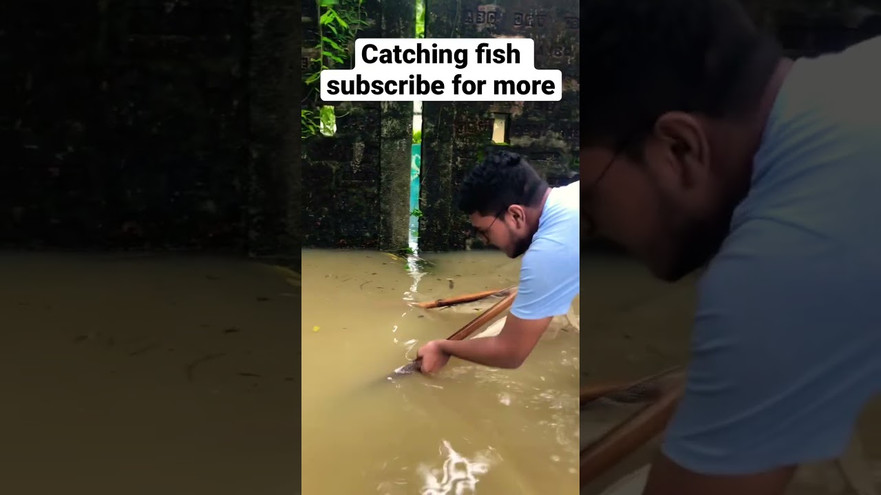 Catching fish in flood time #foryou #fishing