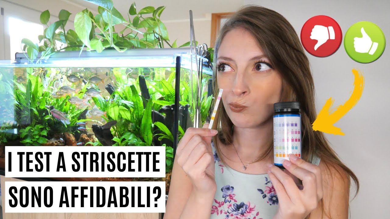 TEST A STRISCETTE per acquari, sono AFFIDABILI? Scopriamolo! 💦