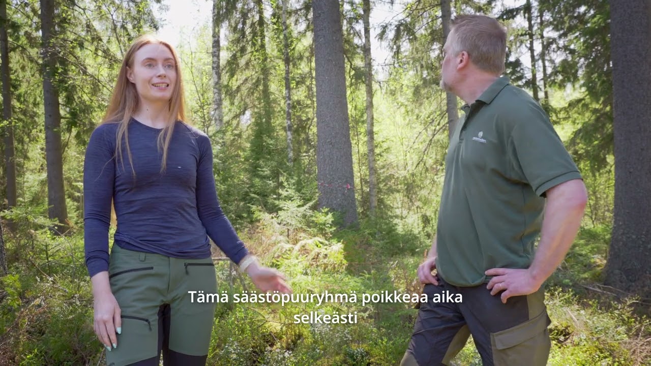 Säästöpuuhakkuu