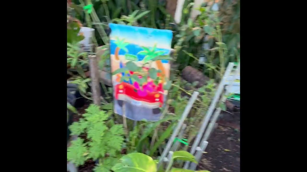 Mi jardín encantado