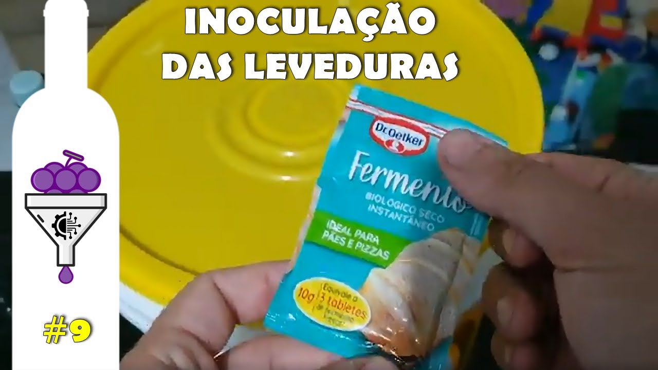 Inoculação das Leveduras no mosto - MAKE YOUR WINE #9