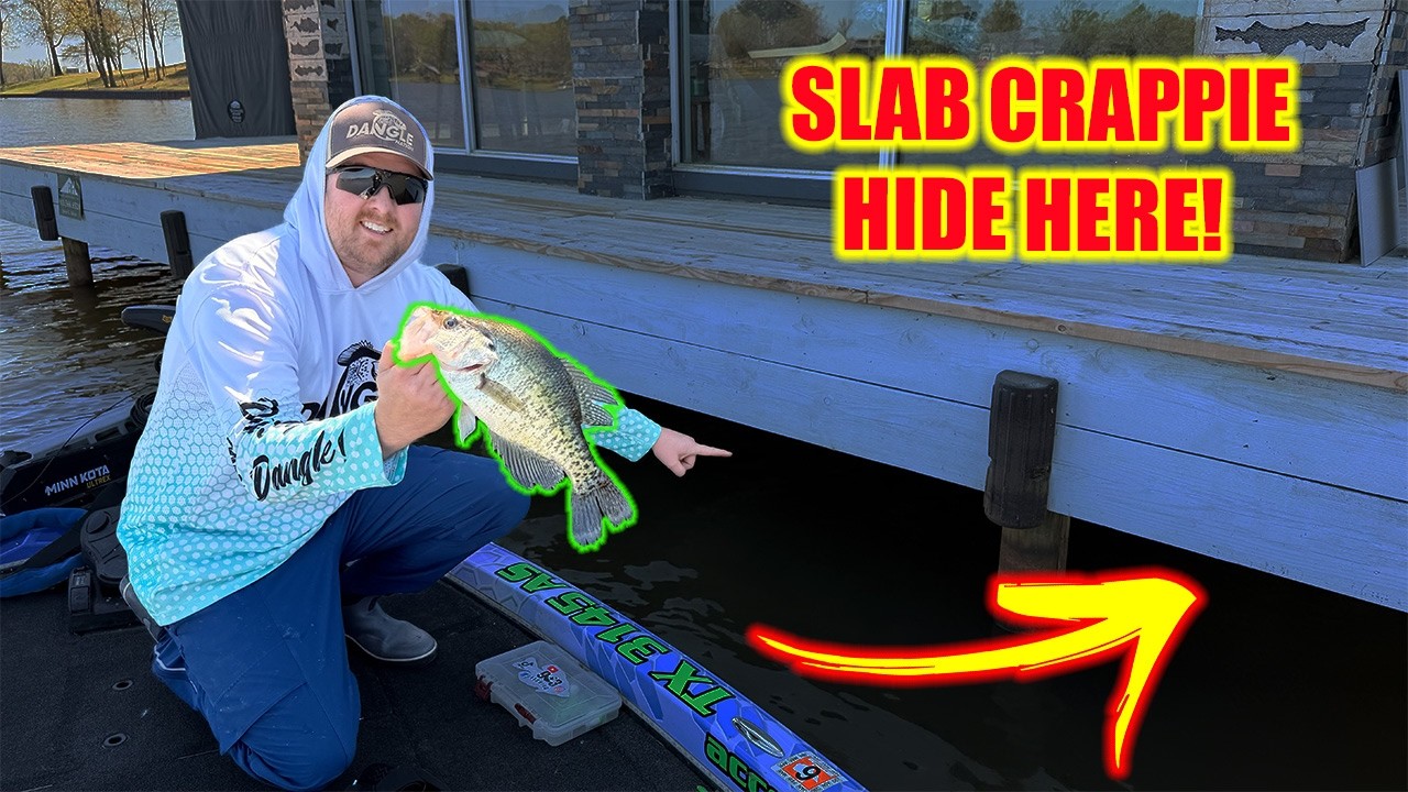 Crappie DOCK SHOOTING Tips That ACTUALLY Work!! | LIMITS OF CRAPPIE!