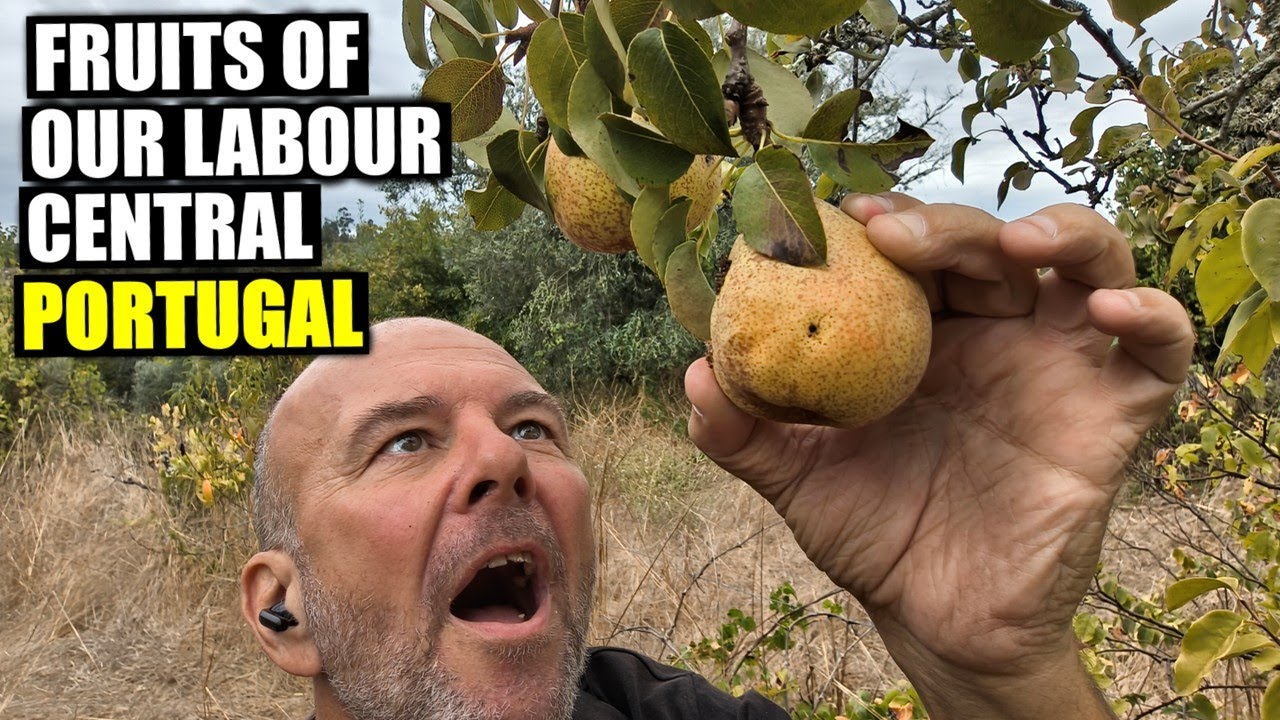 The Fruits Of Our Labour | Farming Central Portugal