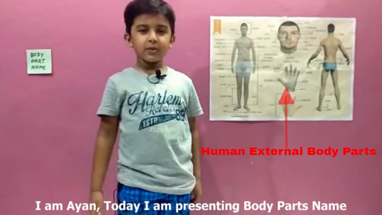 #AyanJain  External Human Body Parts Name