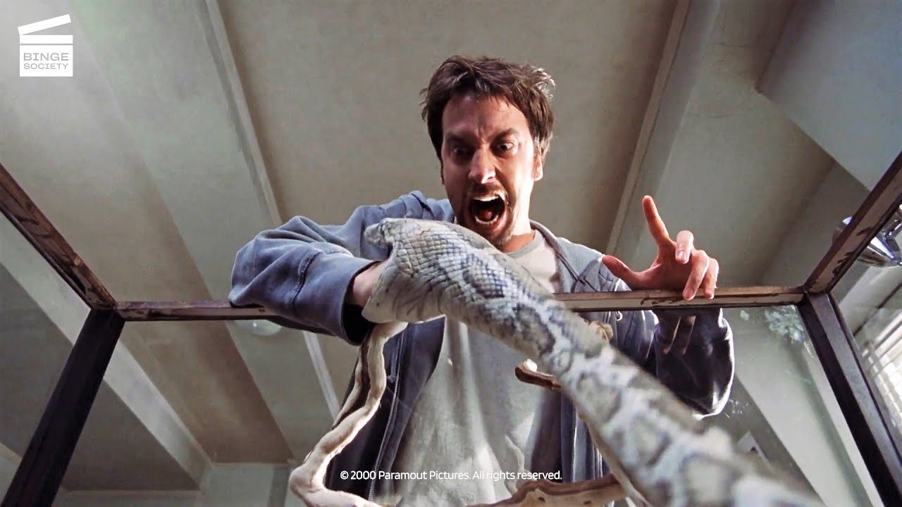 Road Trip : Attaqué par son serpent