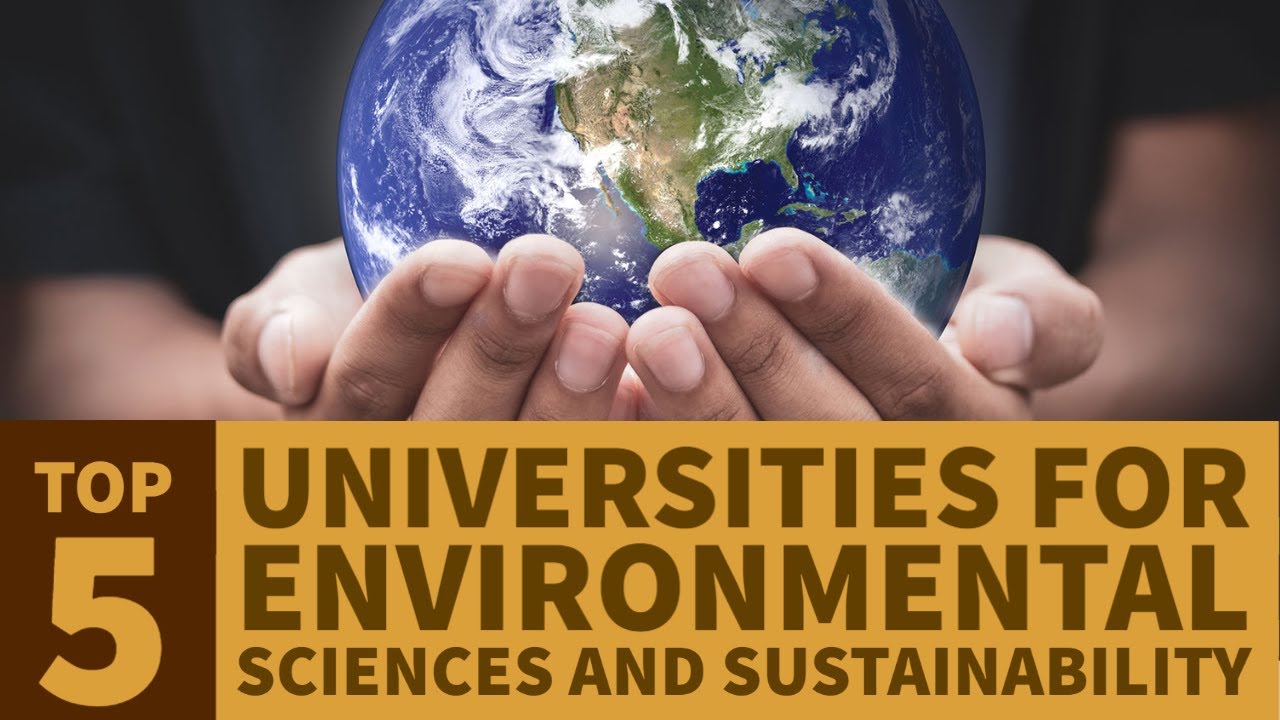 TOP FIVE Universities in the World for Environmental Sciences and Sustainability