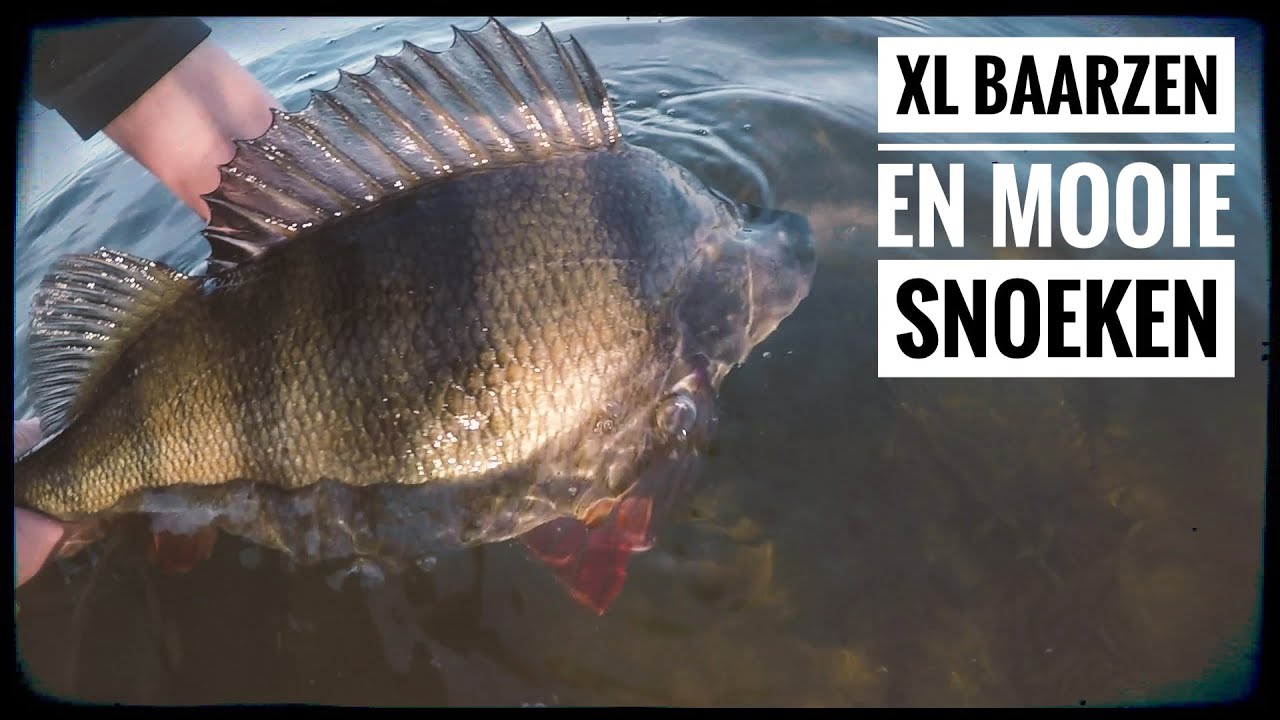 HOE WIJ OP GROTE BAARS EN SNOEK VISSEN (How we fish for BIG perch and pike) baarzen snoeken
