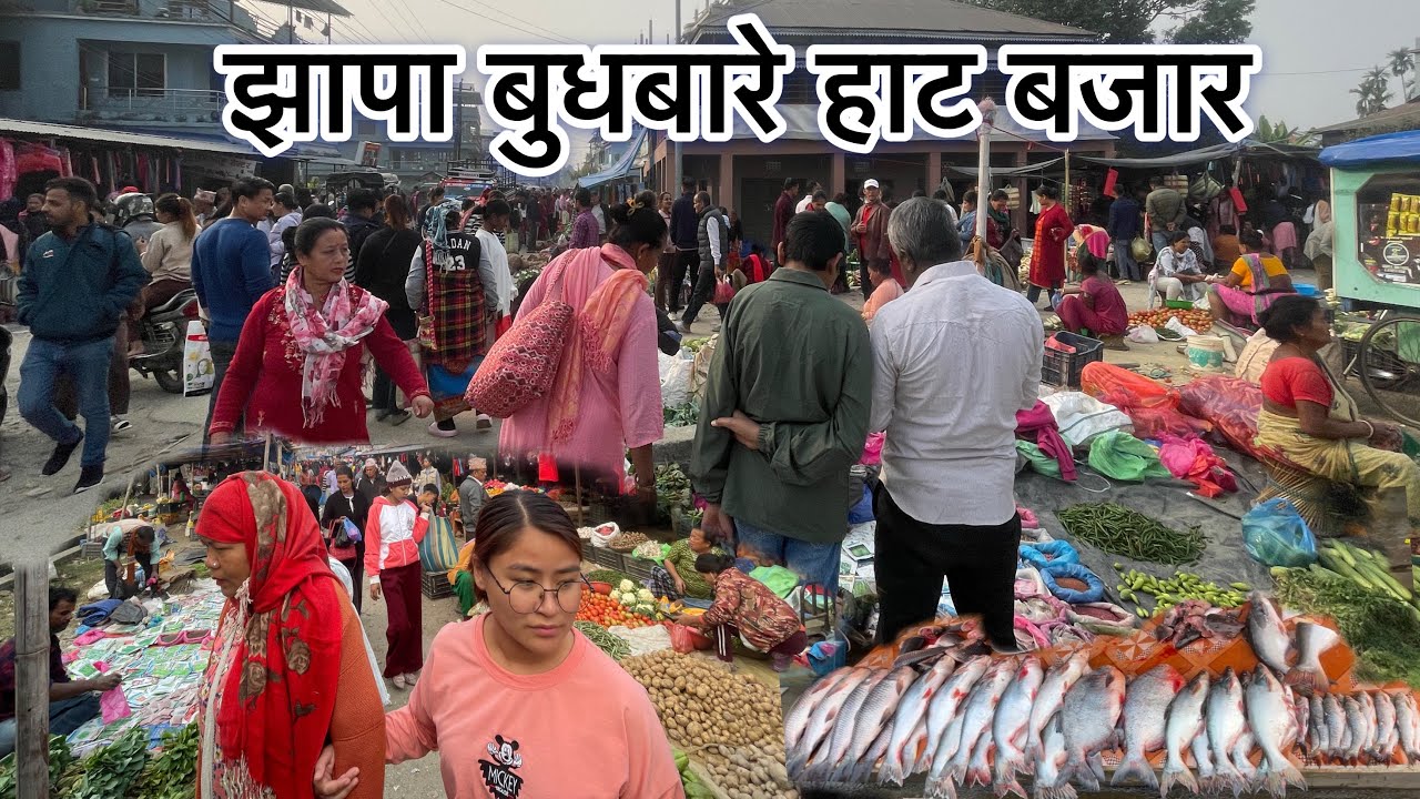BUDHABARE HAT BAZAR JHAPA,ईलाम र झापाको सीमानामा लाग्ने बजार।#youtube#nambindb#jhapa#budhabare#vlog