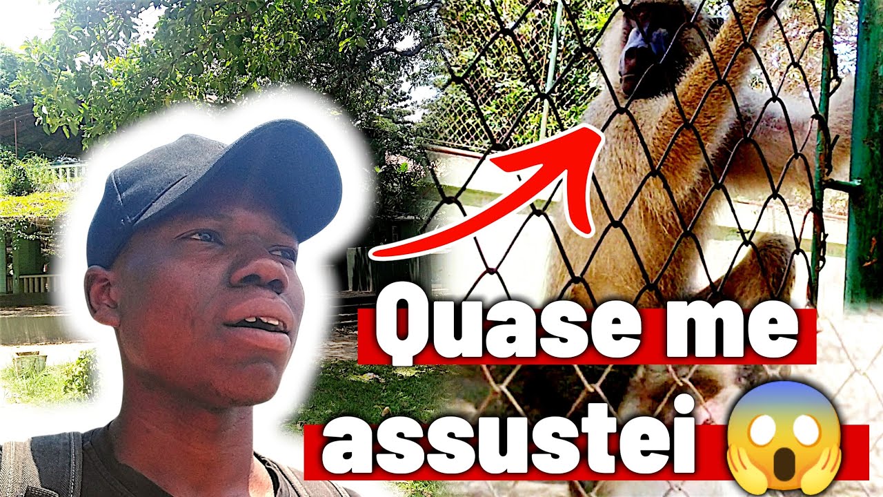 SURPREENDEU 😱😱, O Jardim zoológico de MAPUTO_ MOÇAMBIQUE 🇲🇿, ÁFRICA 