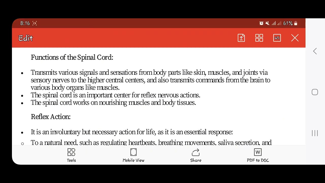 Nerves system part 1 physiology أولى تمريض 