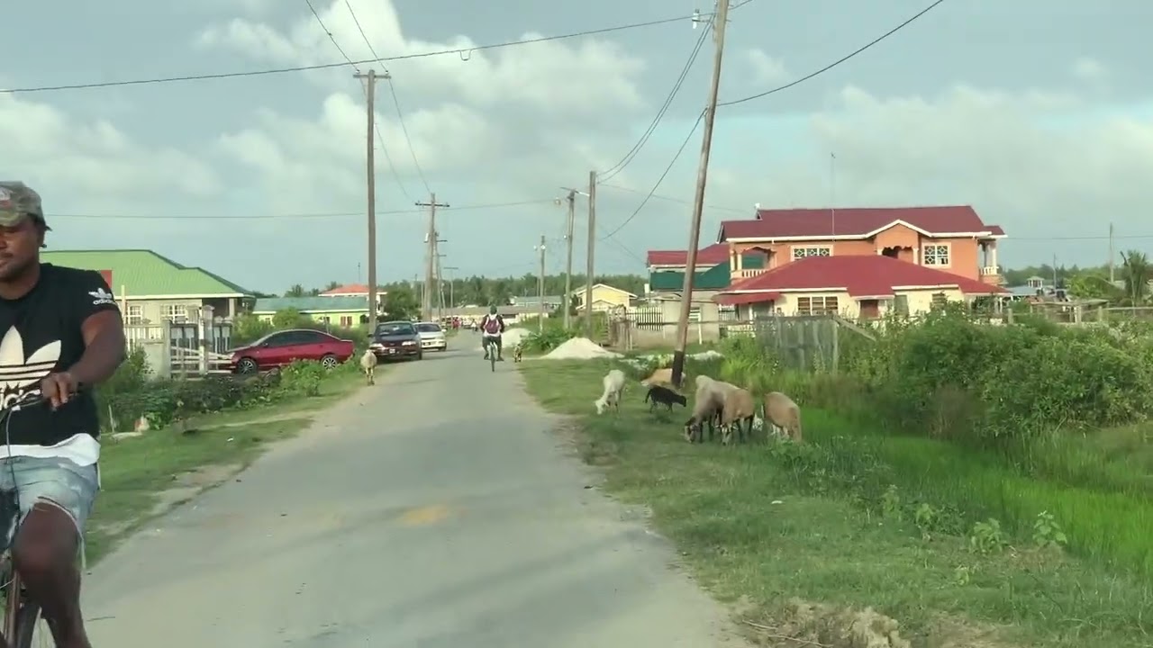 🇬🇾 Guyana Hopetown West Berbice