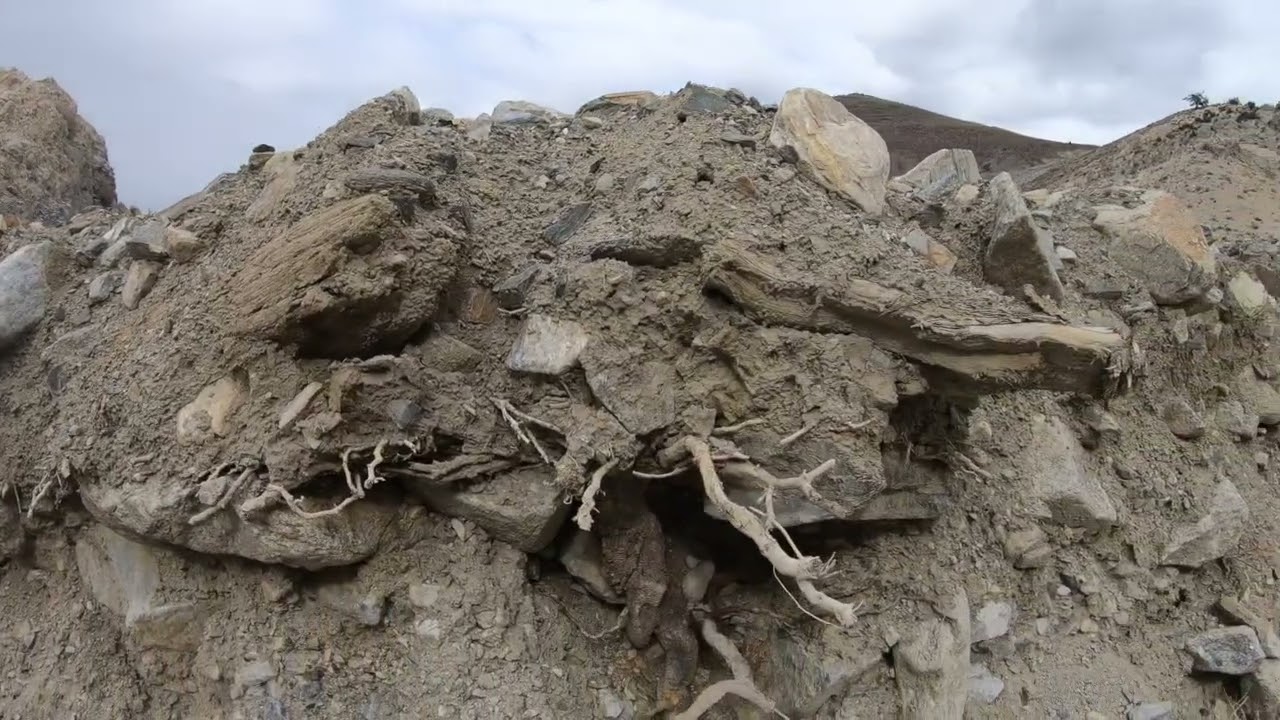 Chukar canyon