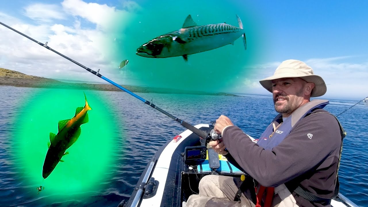 UNDERWATER CAMERA | So Many Fish Chasing Lures! | Pollock | Coalfish | Cod