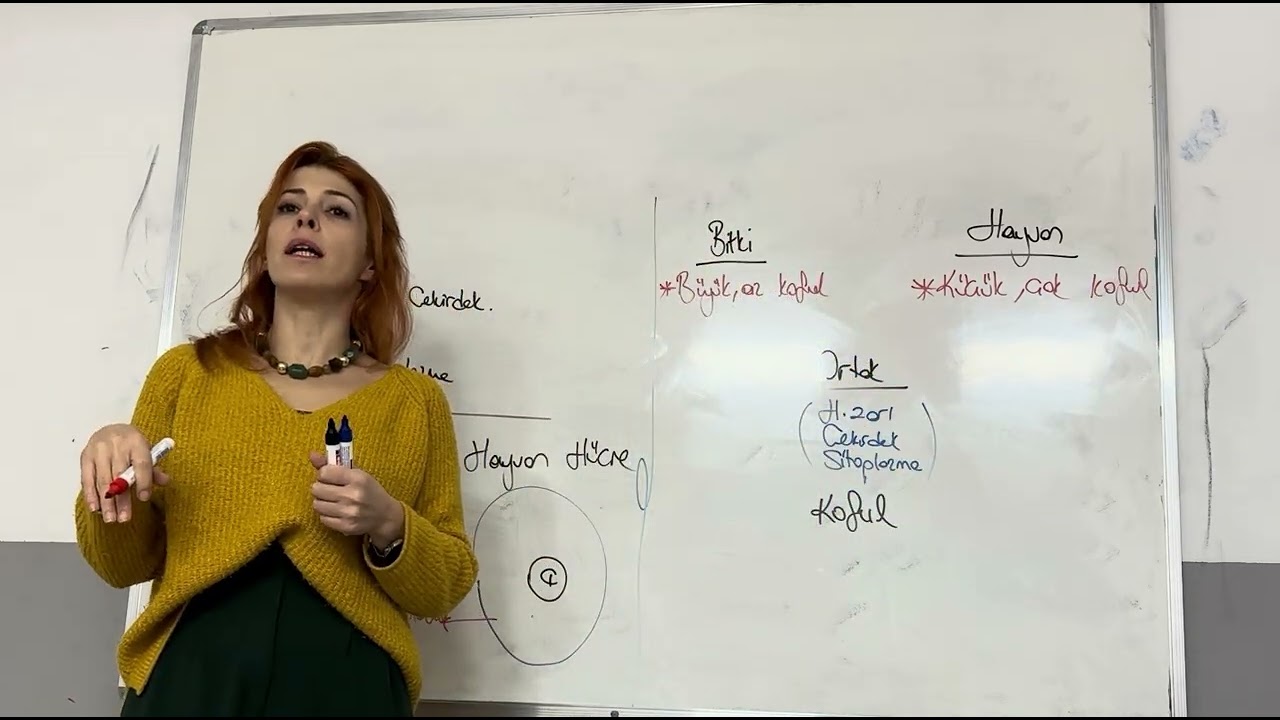 7.Sınıf Hücre Karşılaştırması