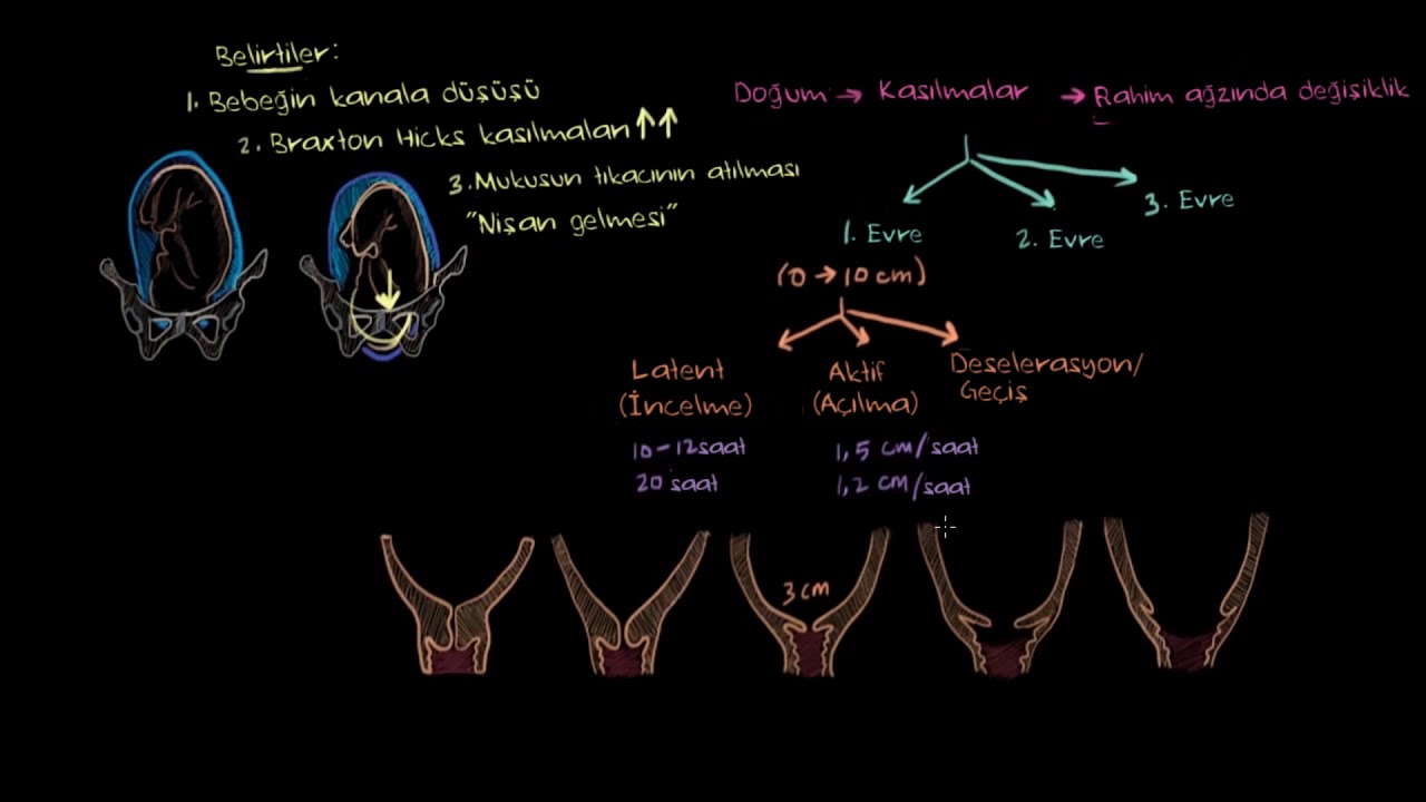 Doğum (Fen Bilimleri) (Sağlık ve Tıp)