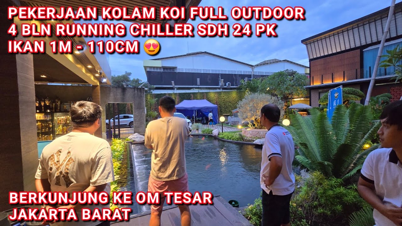 UPDATE PEKERJAAN KOLAM KOI 4 BLN RUNNING | OM TESAR JAKARTA BARAT