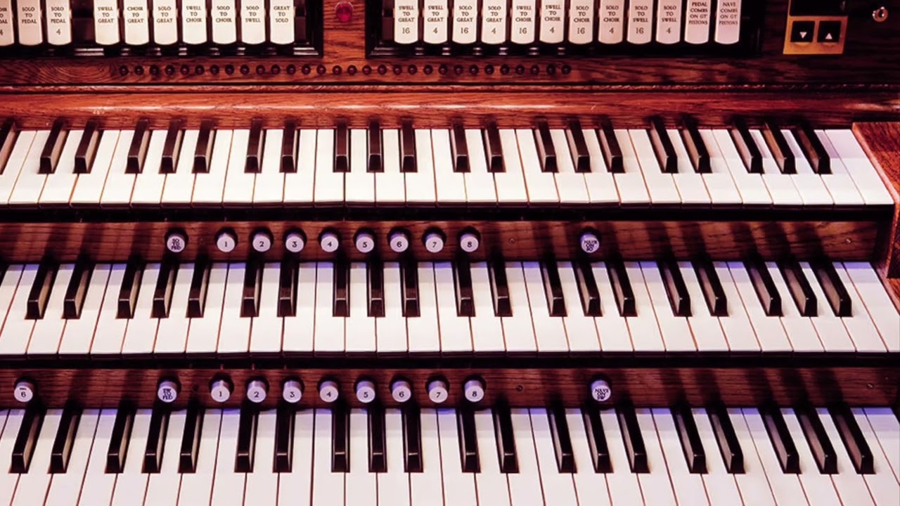 Bach - Toccata in D minor, BWV 565 - Andrew Shenton