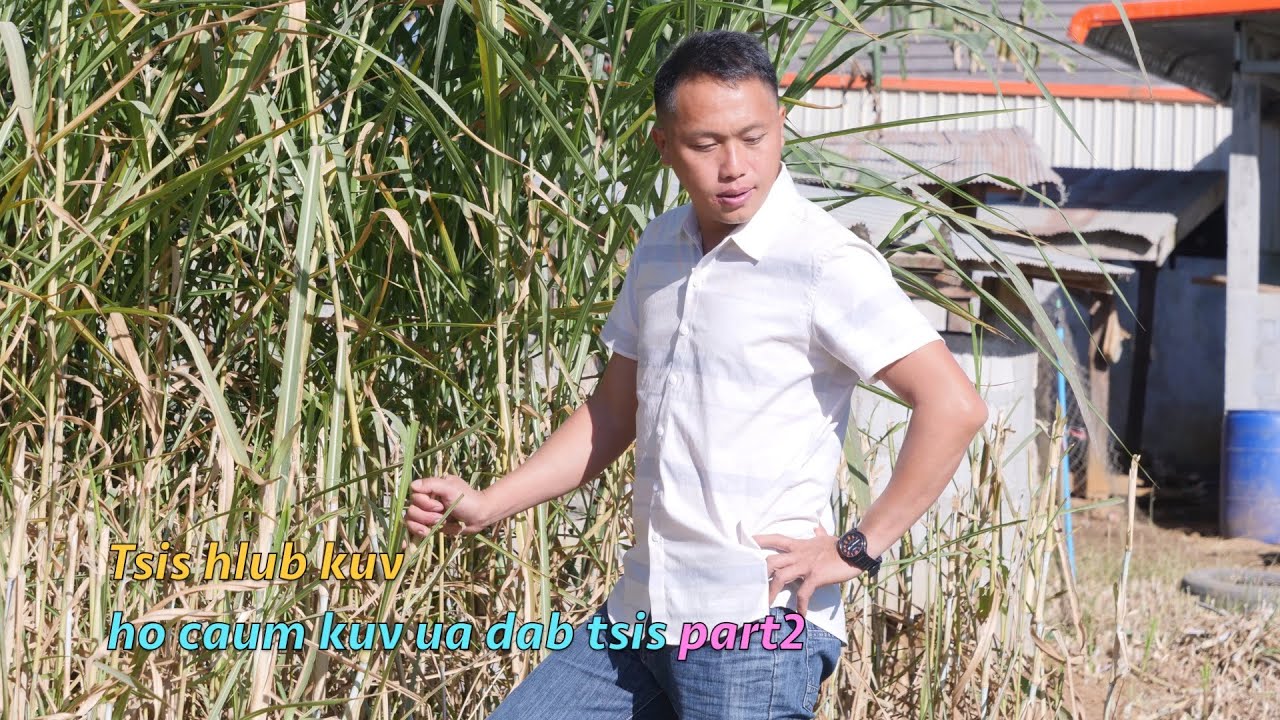 Koj tsis hlub ho caum kuv ua dab tsi part2 12/07/2025