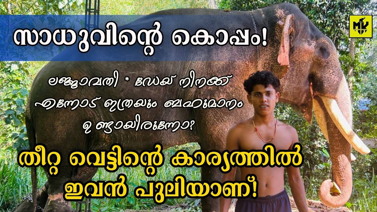 യവൻ പുലിയാണ് കേട്ടോ! കൊപ്പം ജിഷ്ണുവും പുതുപ്പള്ളി സാധുവും!