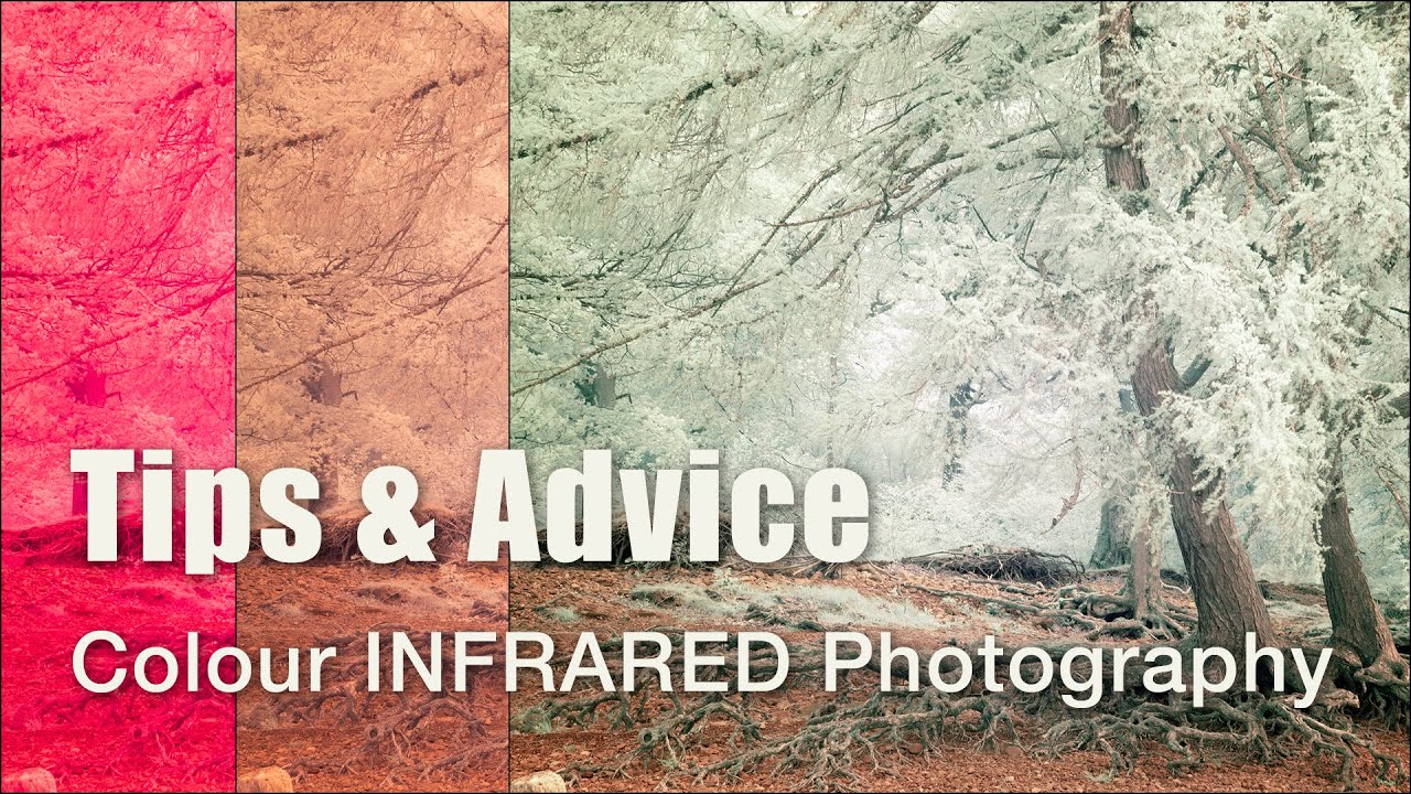 Цветная инфракрасная фотография, которая удивит вашу аудиторию!