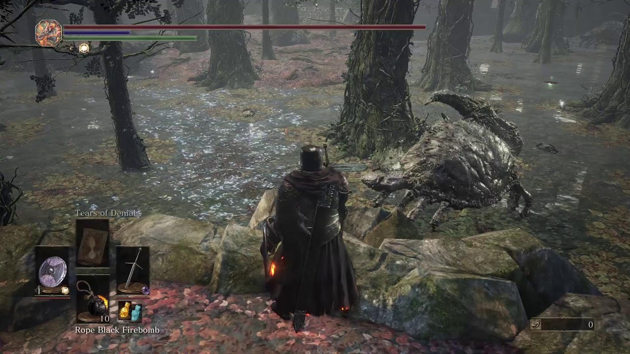 DS3 2026?