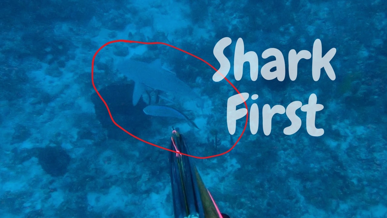 Slow Miami Spearfishing Day Led to This ONE Epic Fish