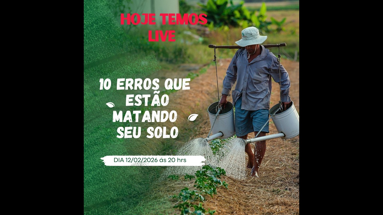 10 ERROS QUE ESTÃO MATANDO O SEU SOLO (E TALVEZ VOCÊ NEM PERCEBA)