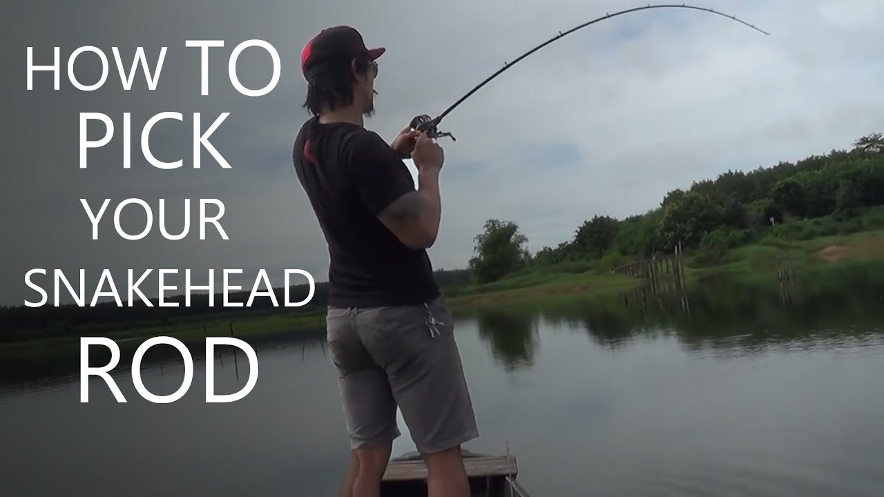 How to pick fishing rods for giant snakehead (toman)