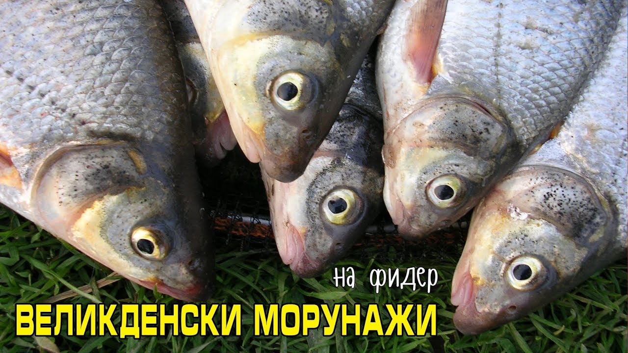 Великденски морунажи