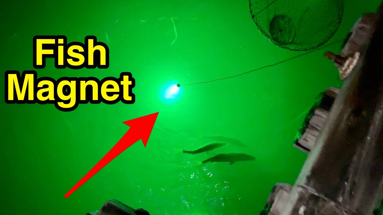 Night fishing with LED light - tips & tricks.