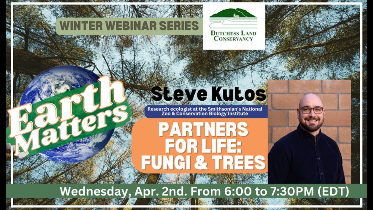 Earth Matters: Steve Kutos - Partners for Life: Fungi & Trees