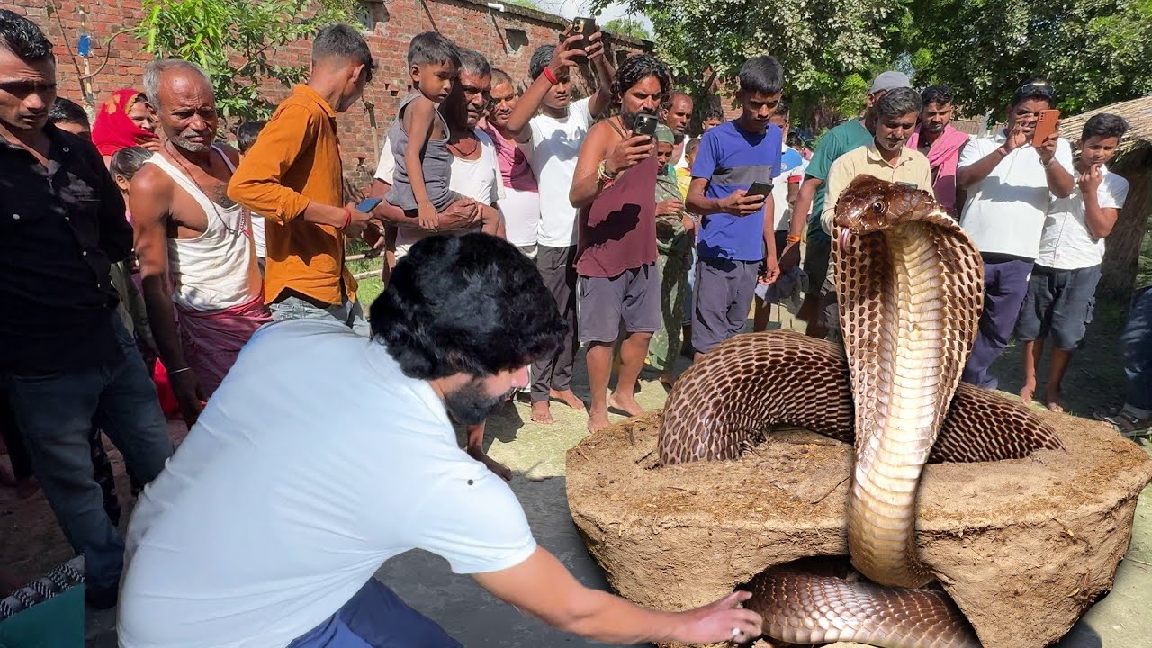 ये कारनामा कैमरे में कैद हो गया, नहीं तो यकीन नहीं होता, ऐसा कैसे हो सकता है.. 