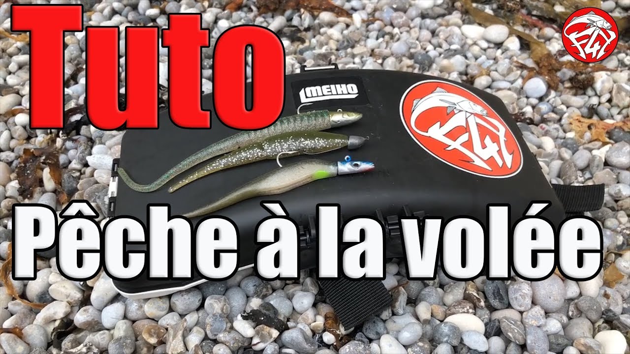 PÊCHE DU BAR : TUTO PÊCHE A LA VOLÉE