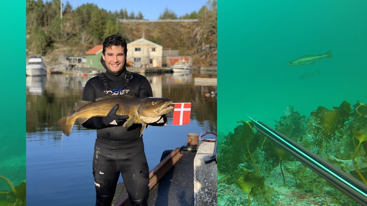 Undervandsjagt i Bergen, Norge - oktober 2019