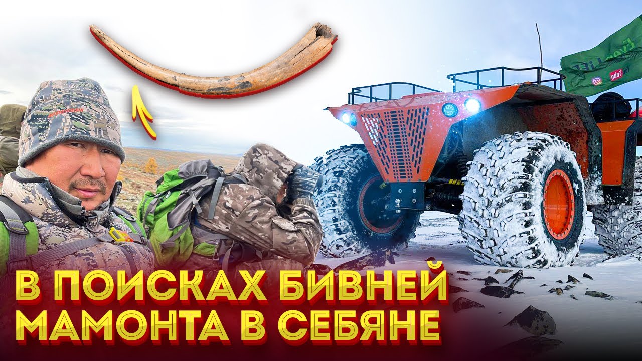 В поисках бивней мамонта в Себяне.