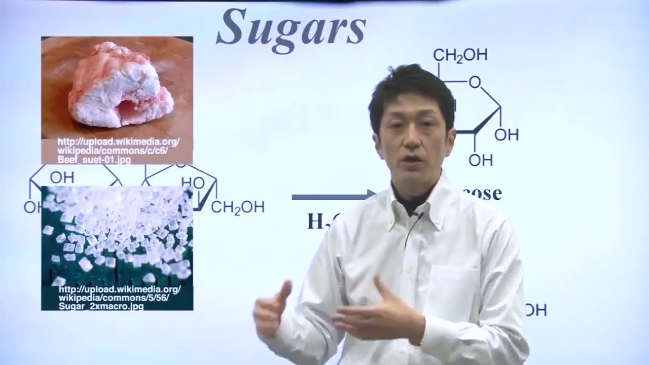 Unit 11 Part 1   Sugars and Fats