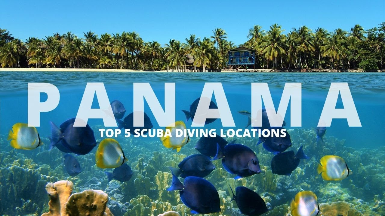 SCUBA Diving Panama - Top 5 dive sites in Panama!