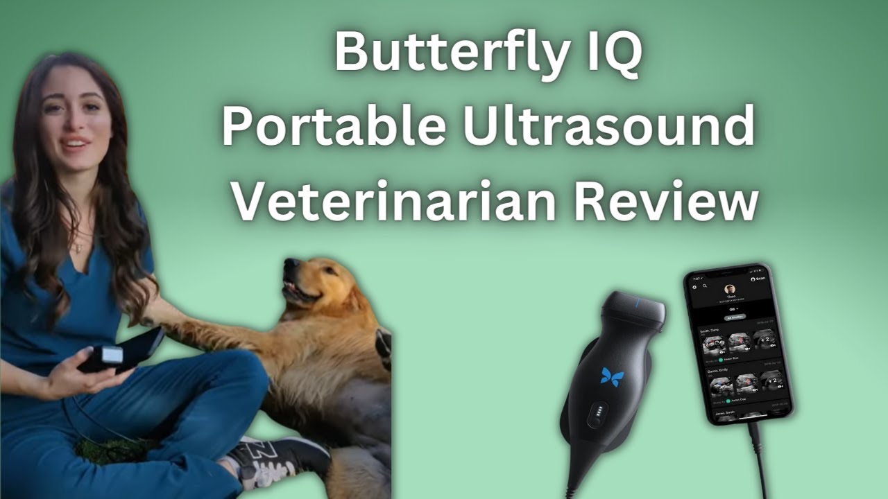 Butterfly IQ Portable Ultrasound Demonstration and Review by a Veterinarian - Dog Ultrasound
