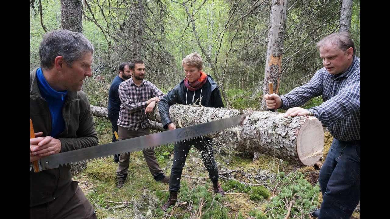 International Course on Wood Conservation Technology, NORWAY