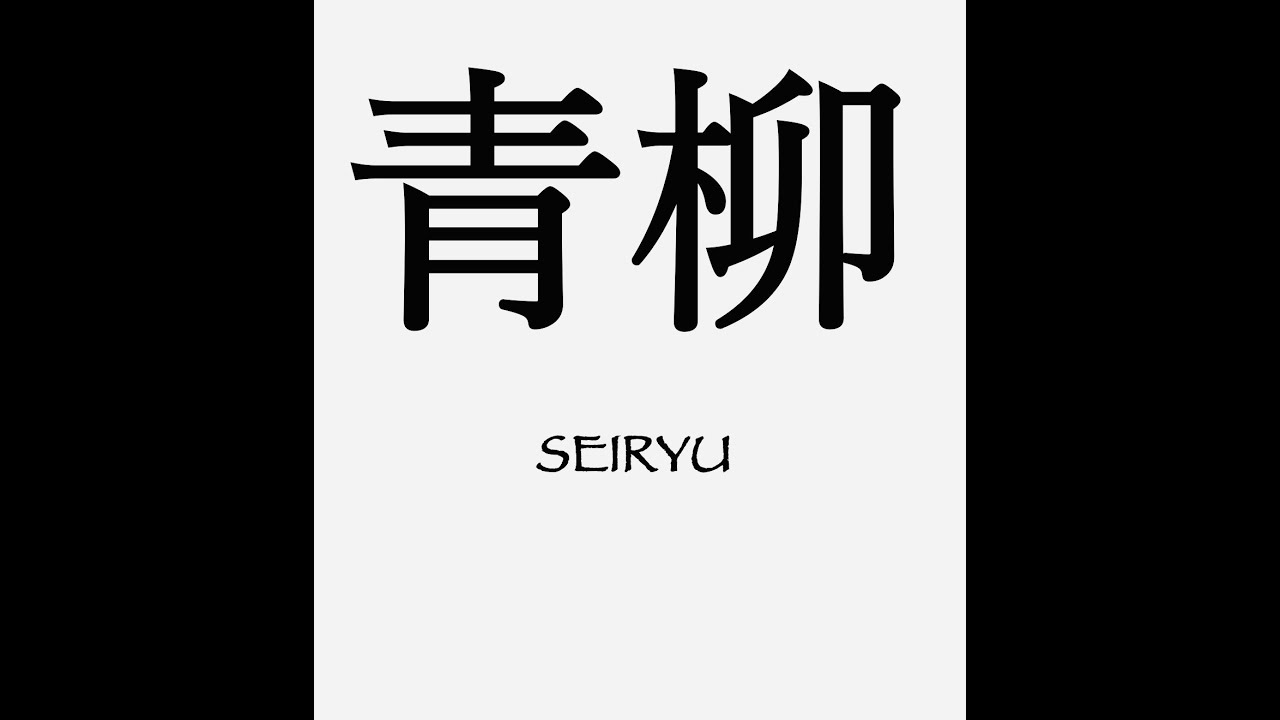 青柳型 Seiryu Kata performed slowly by Andr&eacute; Bertel