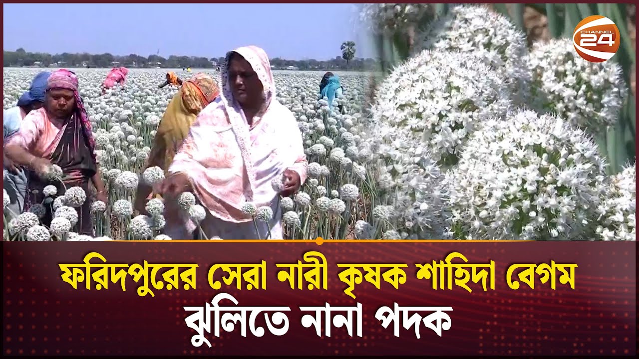 পেঁয়াজ বীজ চাষে সফলতা | Agriculture | Onion Seed Cultivation | Channel 24