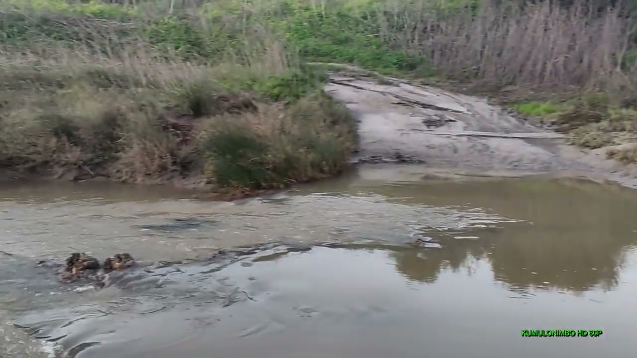Después de la tormenta llega la calma 15-02-2026