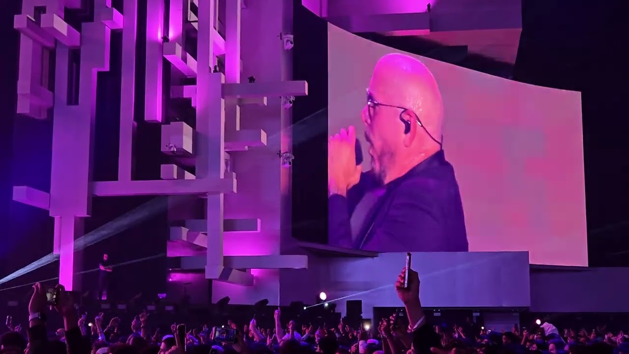 Pitbull at Soundstorm